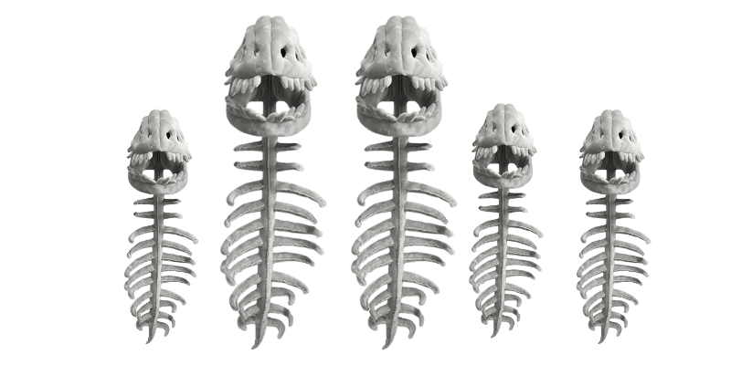Dinosaur Skeleton Plush Merch